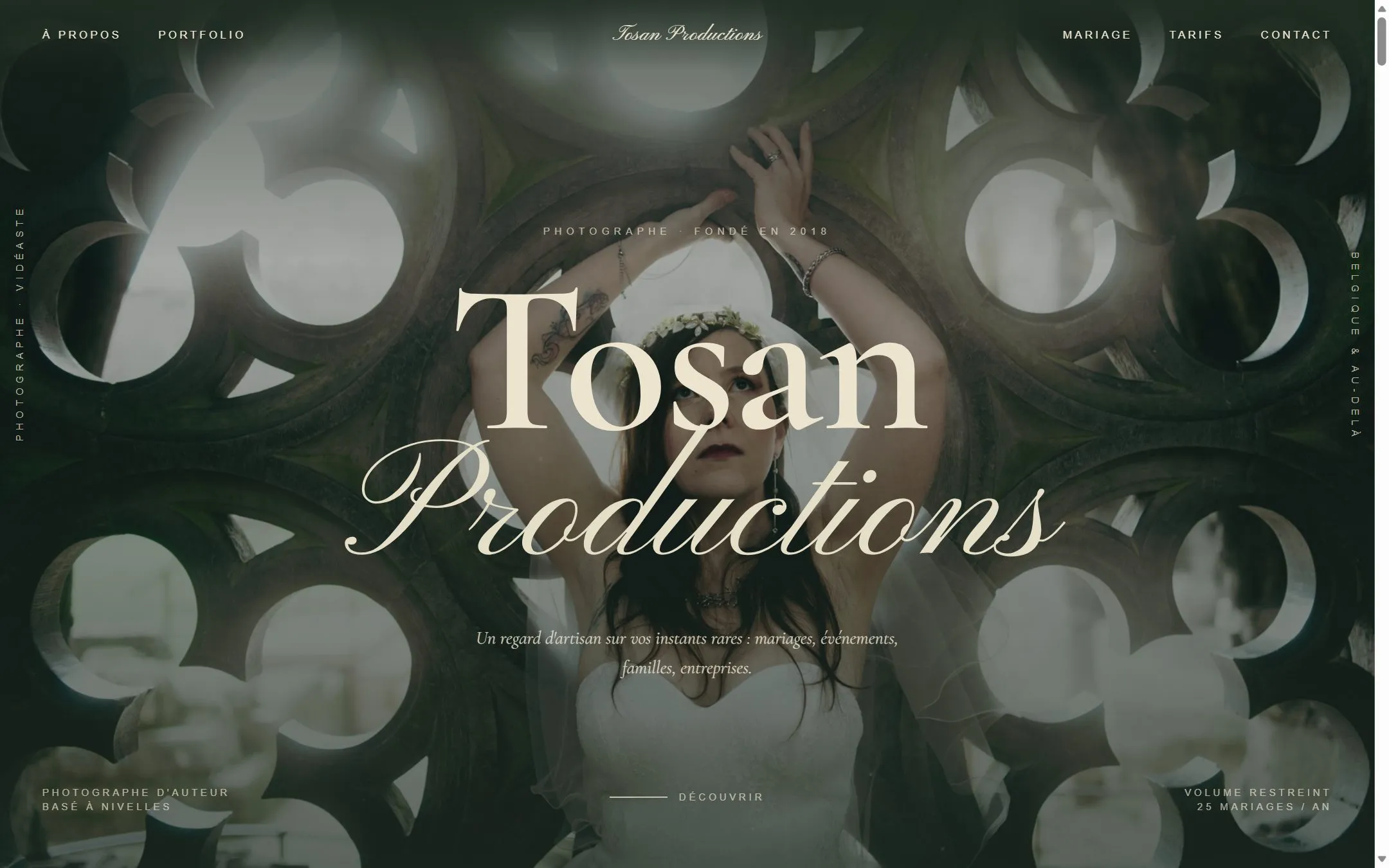 Aperçu du site Tosan Productions